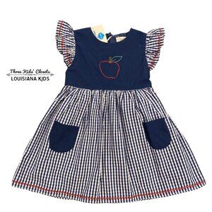 NEW Evie's Closet 3T Blue Gingham Apple Dress